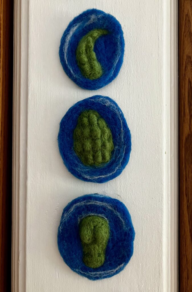 A needlefelted alligator made in three parts, so it appears to be partially submerged in water.