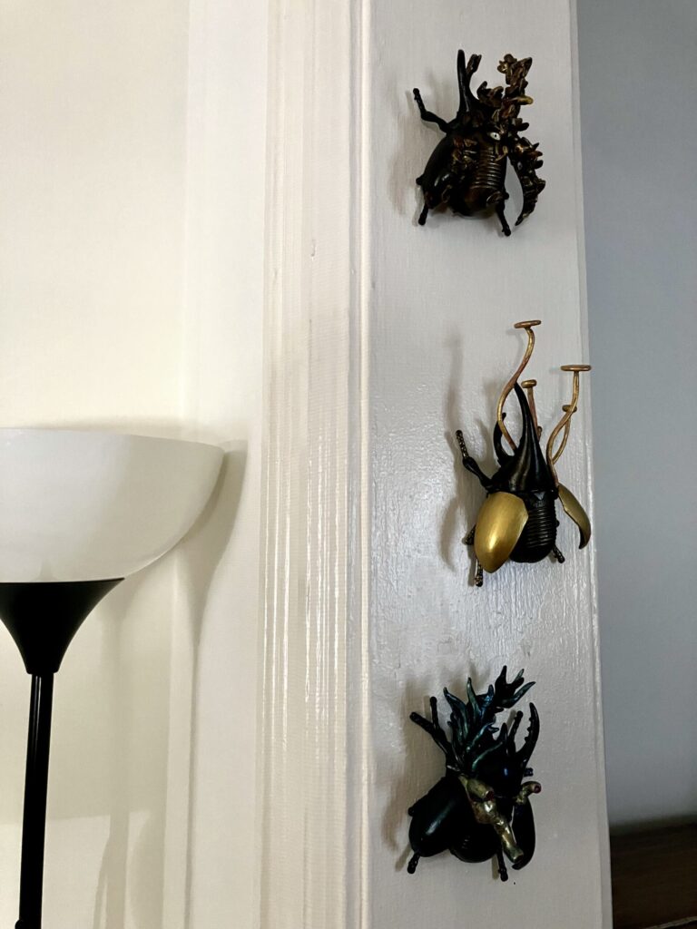 A photo of three fake beetles hanging on a wall. Each is differently infested with a strange parasite.