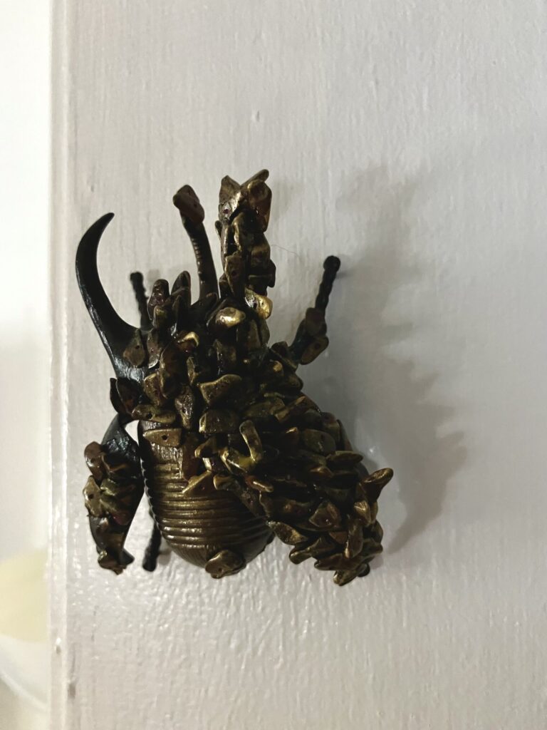 A photo of a sculpted beetle covered in some kind of scale parasite.