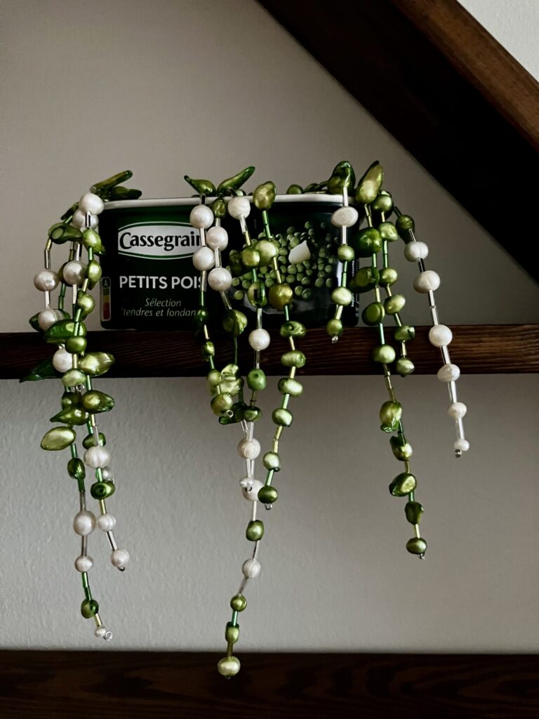 A photo of a fake string of pearls plant made of white and dyed green freshwater pearls and bugle beads, in a French pea tin.