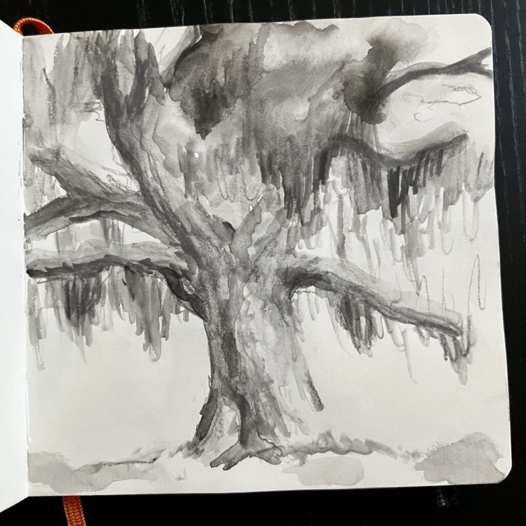A graphite drawing of an oak tree.