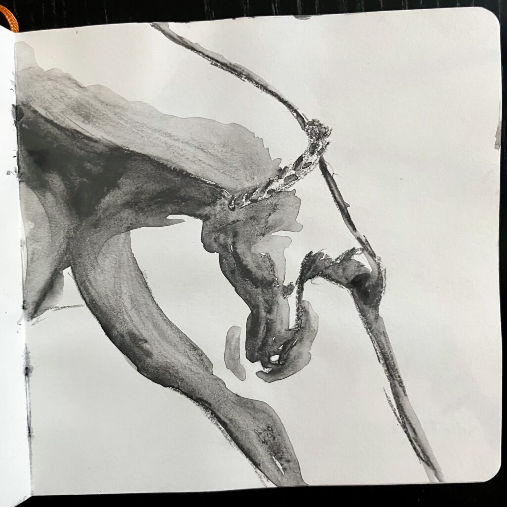 A graphite drawing of a hand squeezing a calf.