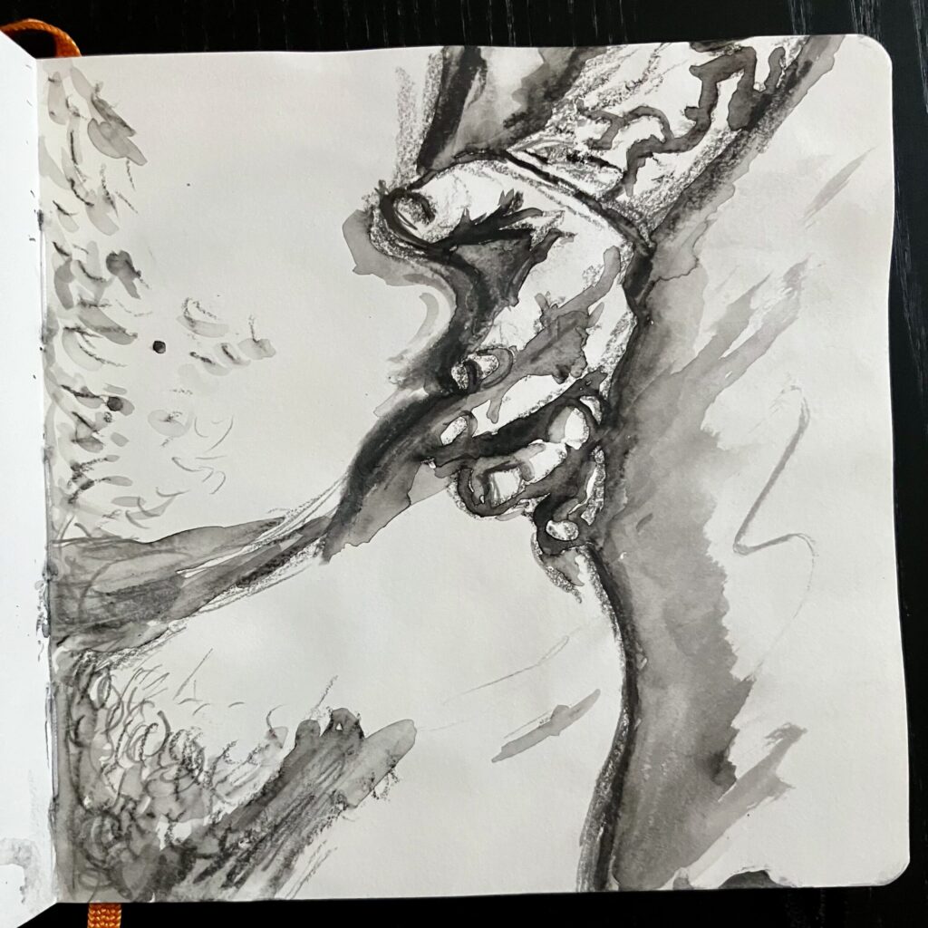 A graphite drawing of a nude person squeezing their side fat.